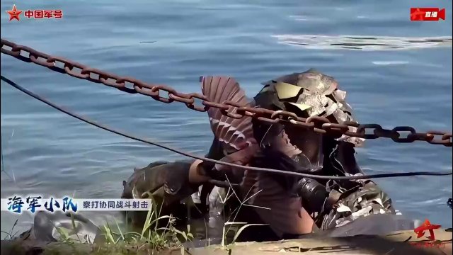 A bird-shaped drone used by the Chinese PLA Marine Corps [VIDEO]