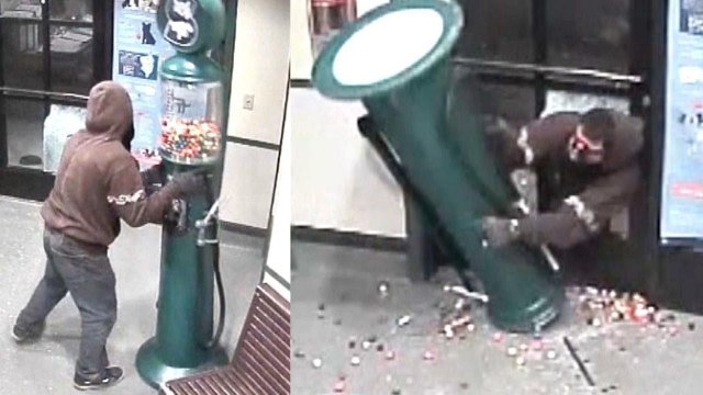 See Thief Try to Fit Gumball Machine Through Doggy Door [VIDEO]
