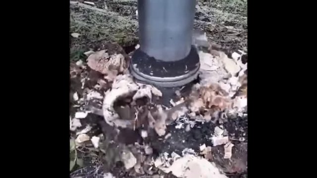 Tree stump grinder