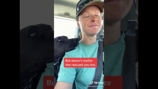 Who Rescued Who [VIDEO]