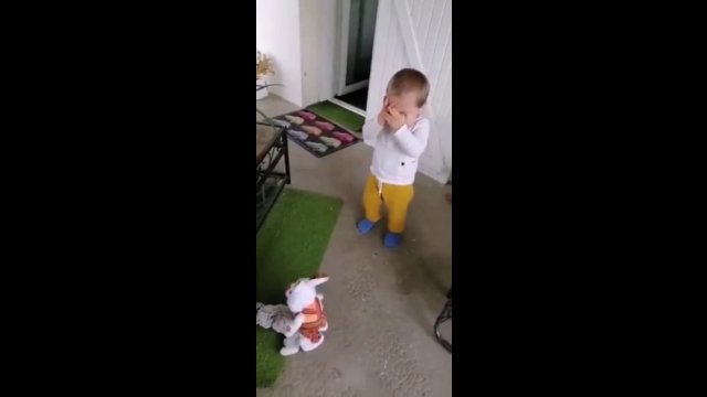 This little kid was watching a robotic moving toy rabbit walk around on the floor.