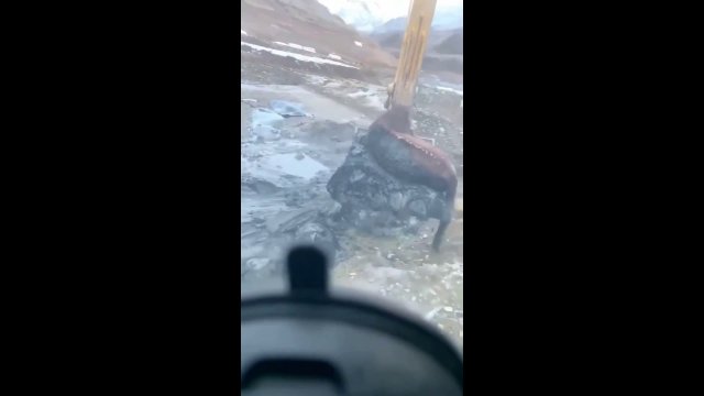 The horse was rescued after it got stuck in the mud