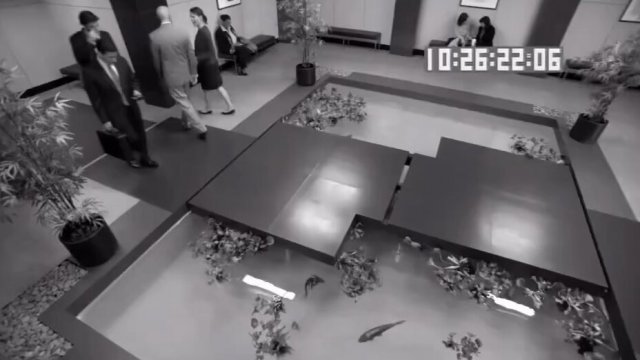 Deleted scene of the entire footage of the koi pond incident [VIDEO]