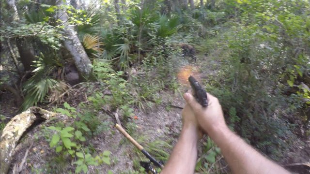 Wild boar charge while fishing [VIDEO]