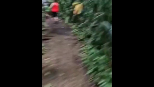 Family walks through the jungle and gets a surprise! [VIDEO]