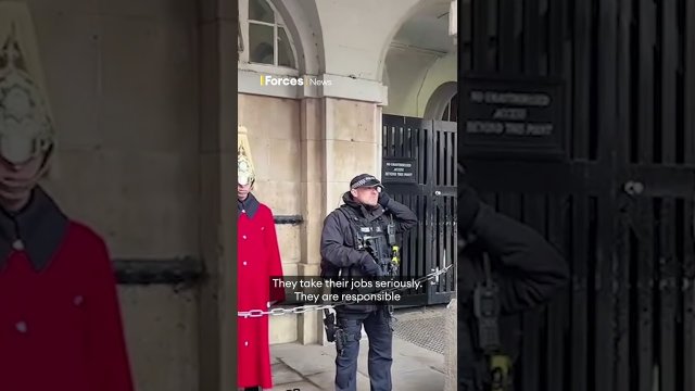 Armed police officer shuts down tourists heckling King's Guard [VIDEO]