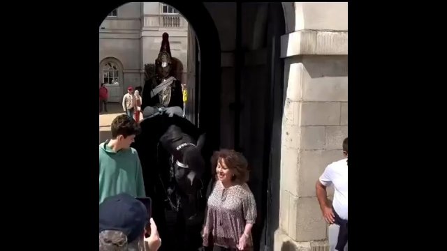 Tourist gets knocked over by royal guards horse [VIDEO]