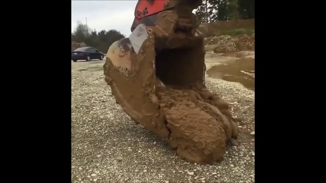 Excavator Operator saves Deer stuck in mud hole