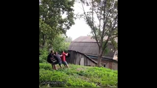 Three guys versus a tree and a barn. They exaggerated a little