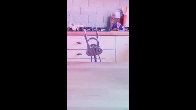 Crazy dance in the kitchen