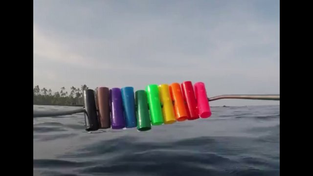 How colors change as you go deeper underwater [VIDEO]