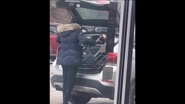 Woman tries to steal shopping cart [VIDEO]