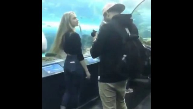 Influencer's visit to the aquarium