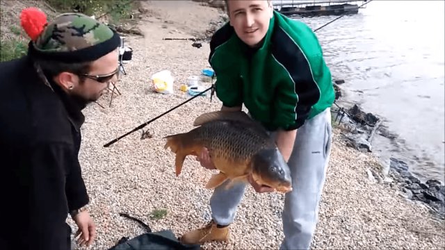 Carp escapes from fisherman