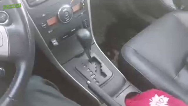 Reaction to the automatic gearbox