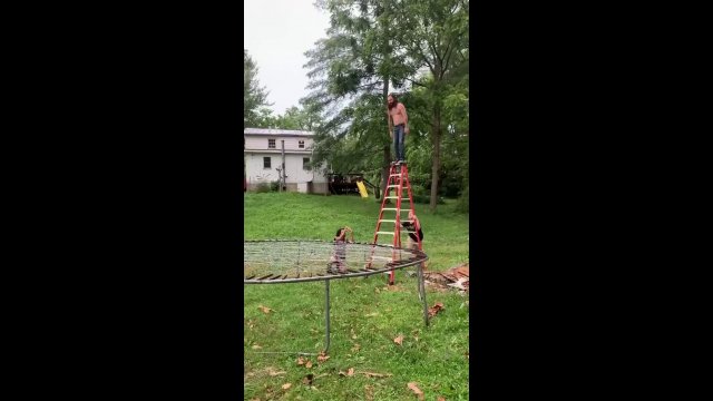 Dude jumps onto a barbed wire trampoline [VIDEO]