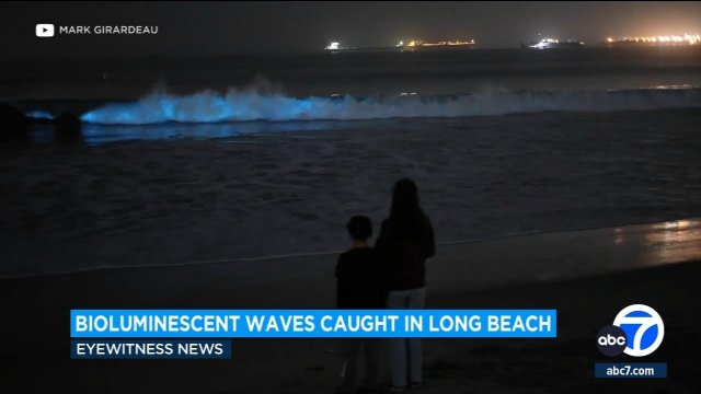 Beachgoers encounter bioluminescent waves in Long Beach [VIDEO]