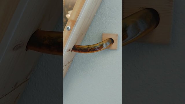 Observation beehive - bees inside my house! [VIDEO]