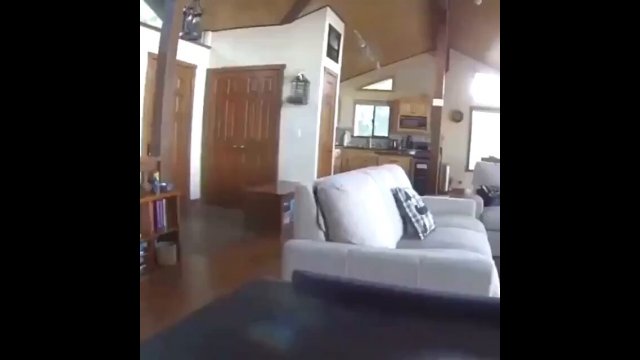 It is not polite for a guest to break the door [VIDEO]
