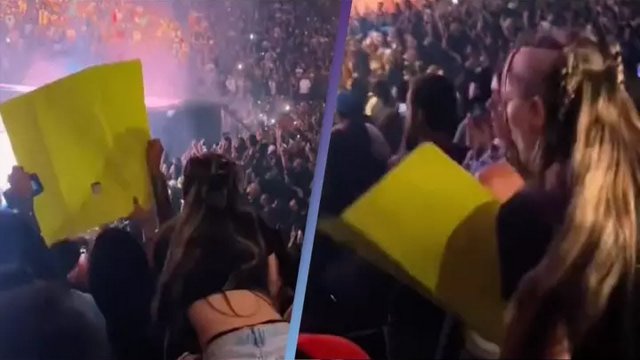 Woman snatch fan's sign at Drake concert, for blocking her view [VIDEO]
