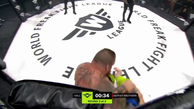 Eddie Hall KOs two brothers in one round in stunning MMA debut