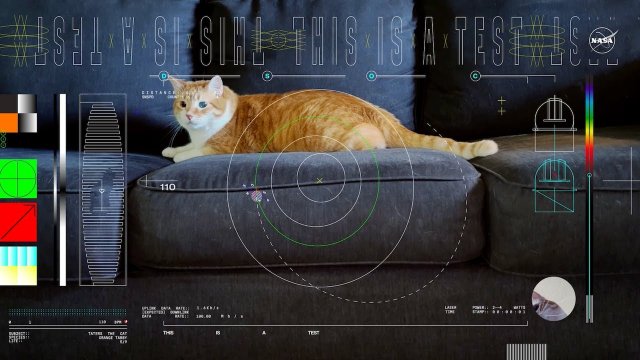 NASA Sends Cat Video From Spaceship 31 Million KM Away [VIDEO]