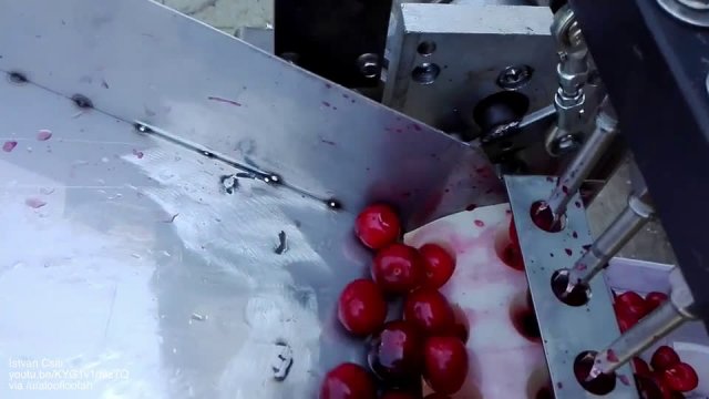 Simple cherry pit remover