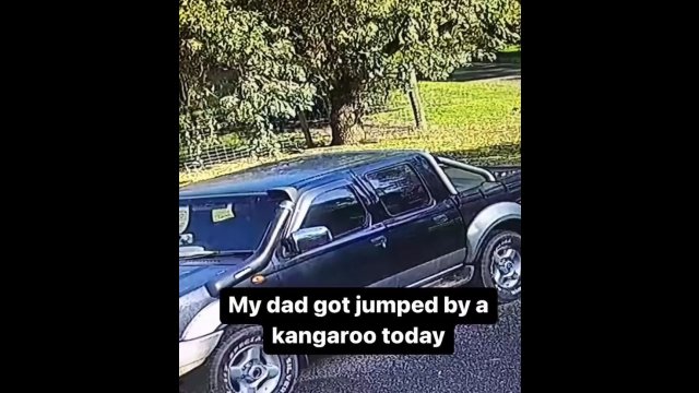 Man gets “jumped” by a Kangaroo and fights back [VIDEO]