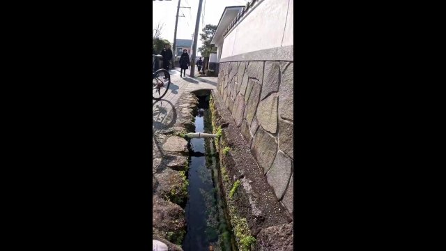 Irrigation canals in Japan are so beautiful [VIDEO]