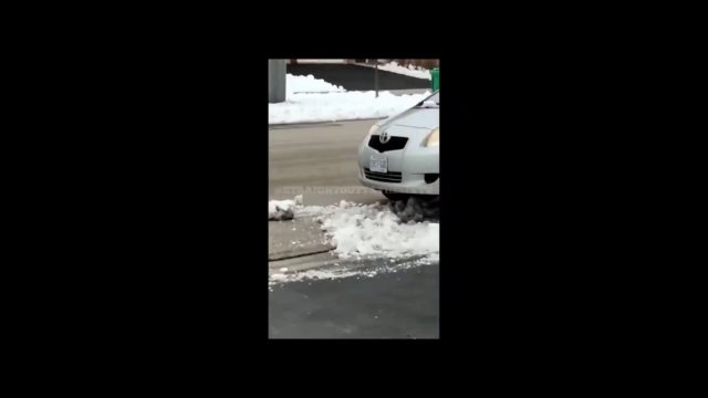 Thief's car gets stuck in the snow