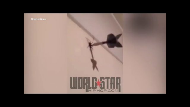 Man kills a spider with a precisely aimed dart!