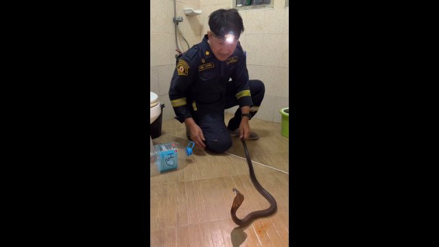 What do you think of this method for catching snakes? [VIDEO]