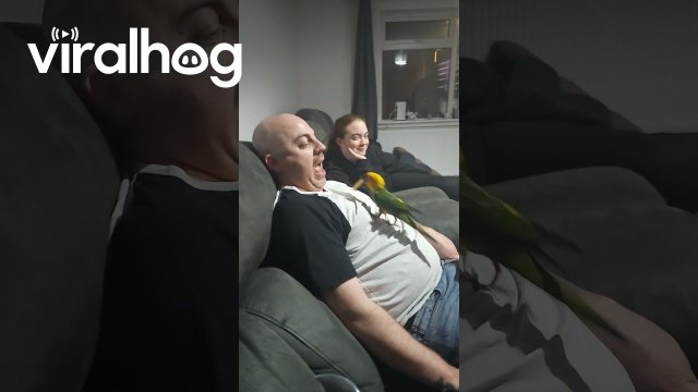 Parrot Feeds Chips to Man [VIDEO]