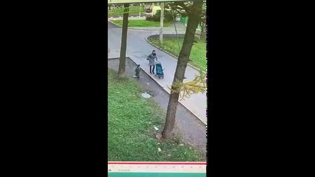 Little boy fell down the manhole [VIDEO]