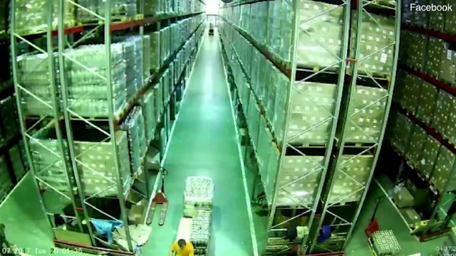 Forklift driver causes an entire warehouse to fall like dominoes [VIDEO]