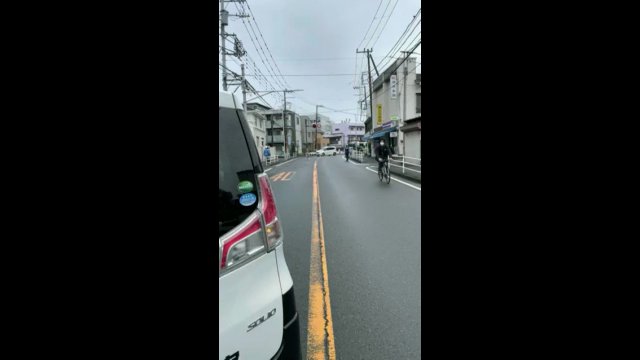A Japanese man with an iron pipe challenges the police to a fight [VIDEO]