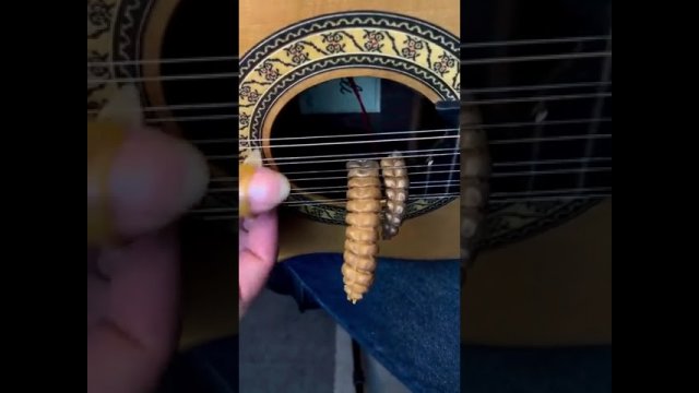 Playing Brazilian ten-string guitar with rattlesnake tails [VIDEO]