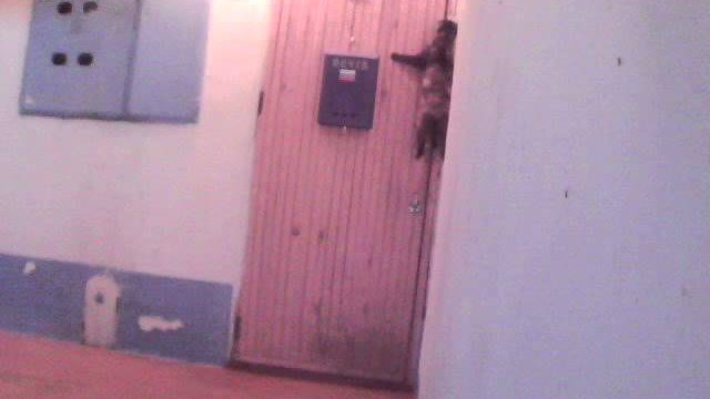 The cat rings the doorbell to let him in