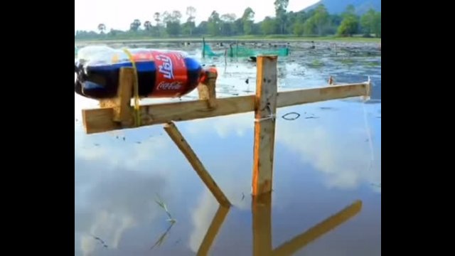 Fishing with a cola bottle