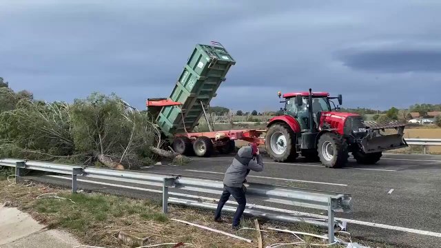 The Spanish farmers are now dumping trees on the motorway BLOCKING the border with France. [VIDEO]