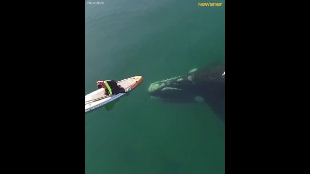 This is why I don’t do ocean activities [VIDEO]