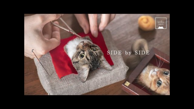Incredibly realistic cat crafts