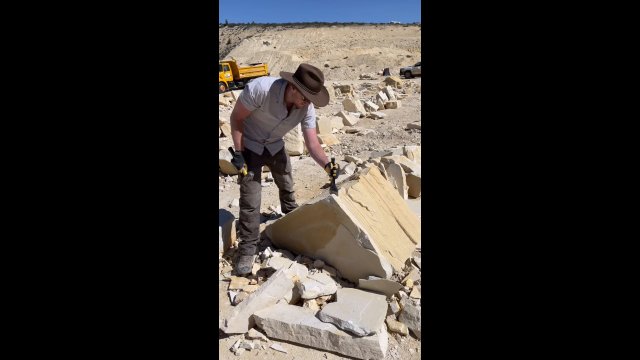 Revealing a fossil encased in limestone [VIDEO]