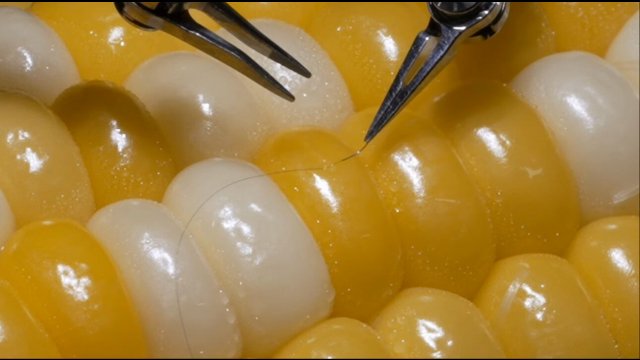 Microsurgery assistance robot stitching a corn kernel [VIDEO]