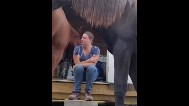 This 4 years old horse understands her owner’s emotions and reassures her [VIDEO]