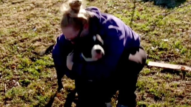 Camera captures the moment woman finds her dog alive after tornado