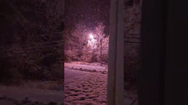Power line sparking next to this tree in heavy snow creating an amazing show [VIDEO]