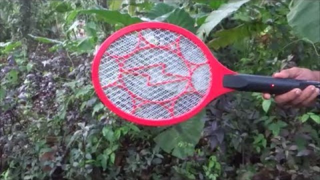 Death of hundreds of mosquitoes in a few minutes!