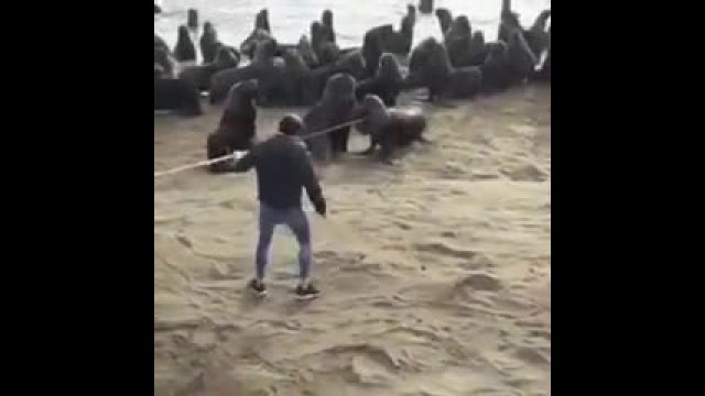 Good people help the sea lion in trouble