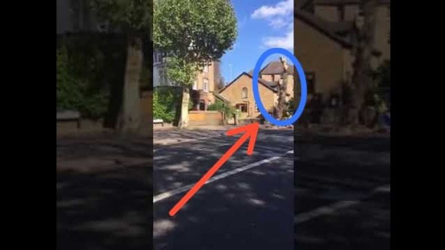 Cyclist nearly gets killed by falling tree trunk